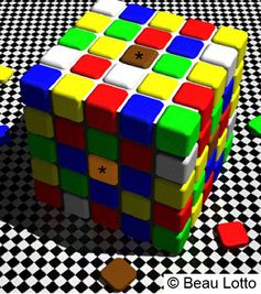 Illustration for article titled Animals Could Help Reveal Why Humans Fall For Illusions